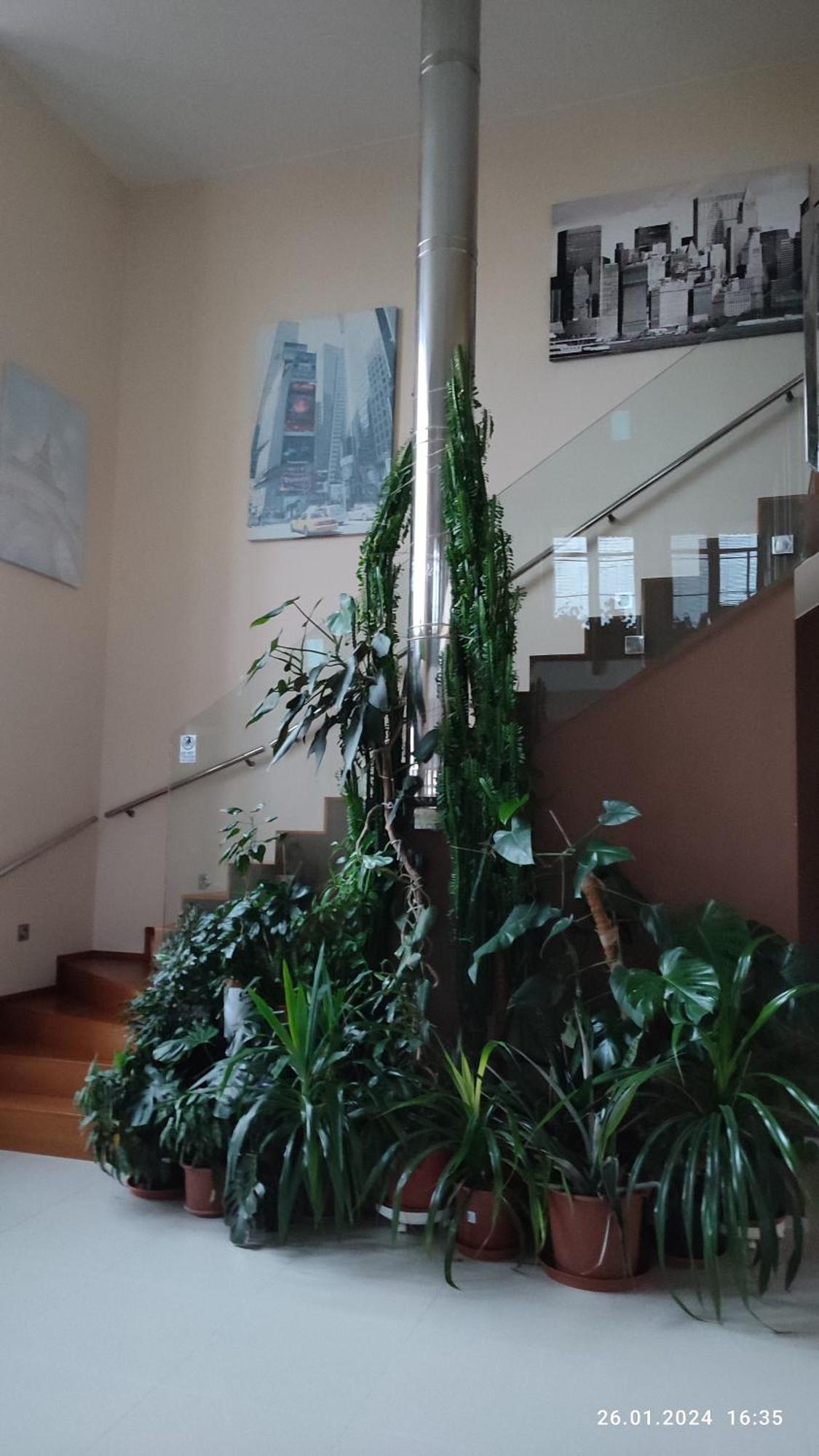 פראג Villa Homestay Nad Helmrovkou מראה חיצוני תמונה