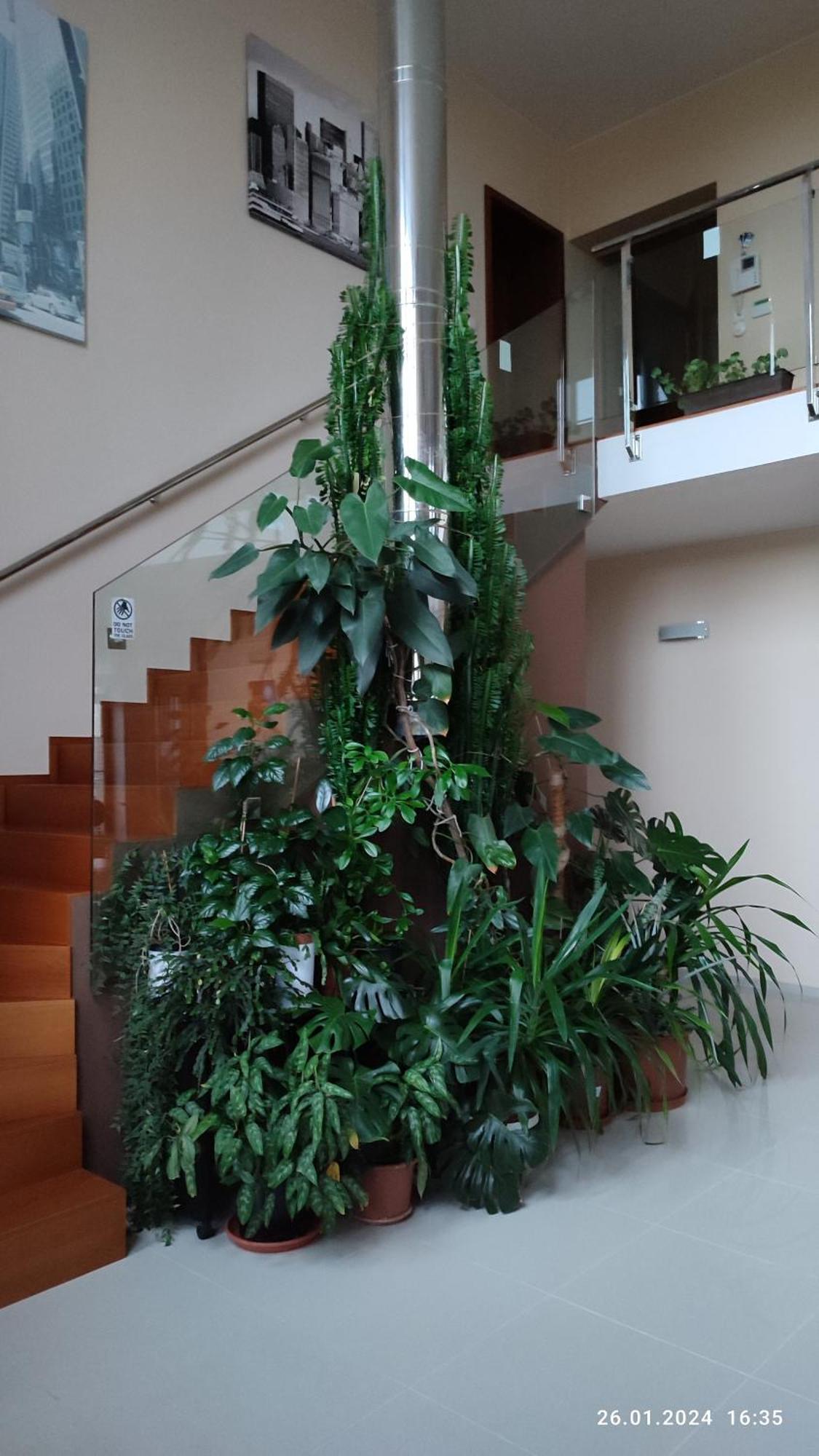 פראג Villa Homestay Nad Helmrovkou מראה חיצוני תמונה