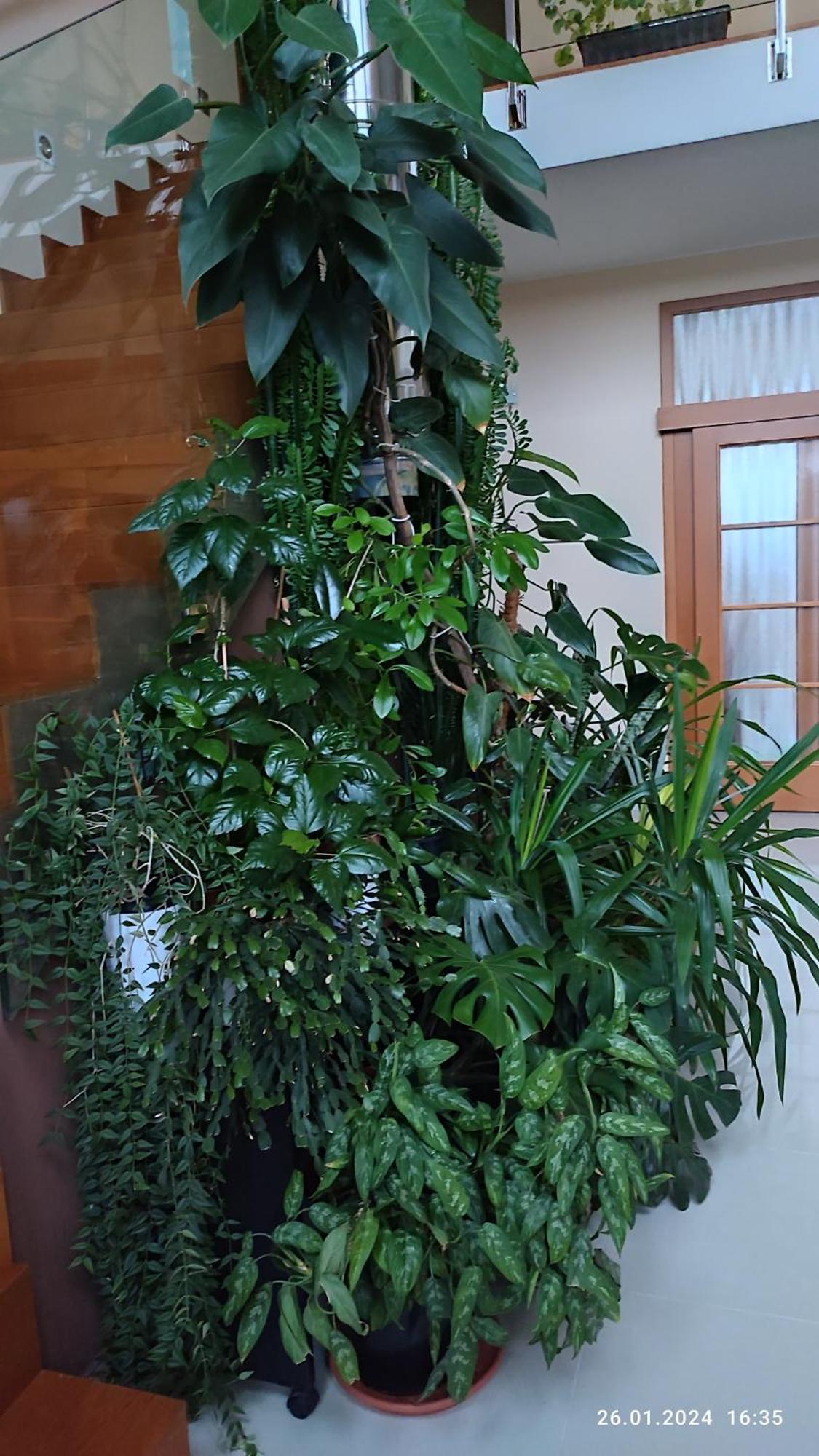 פראג Villa Homestay Nad Helmrovkou מראה חיצוני תמונה