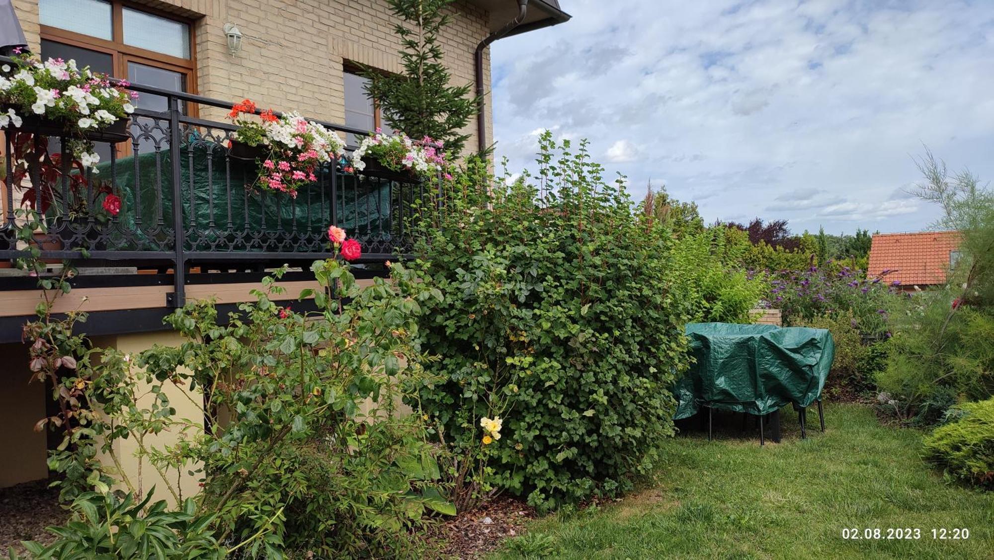פראג Villa Homestay Nad Helmrovkou מראה חיצוני תמונה