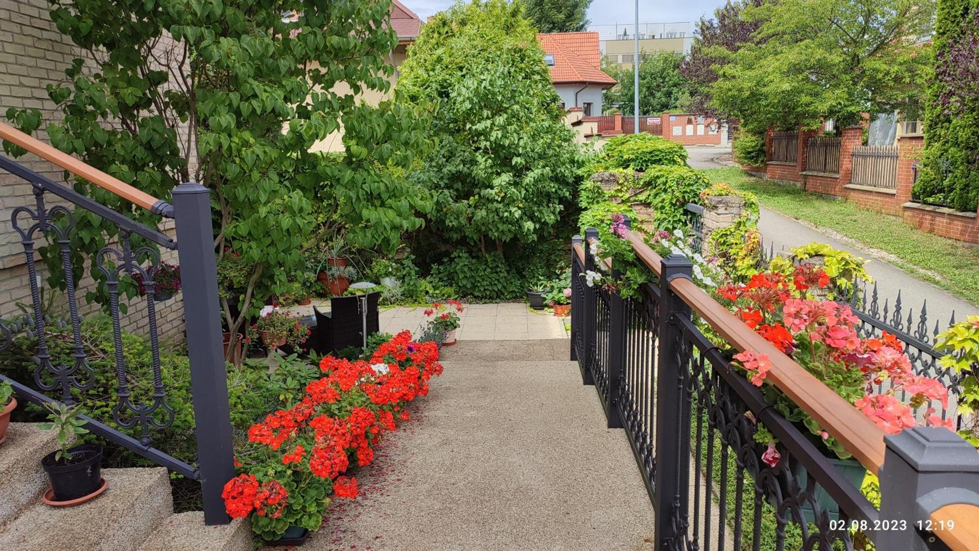 פראג Villa Homestay Nad Helmrovkou מראה חיצוני תמונה