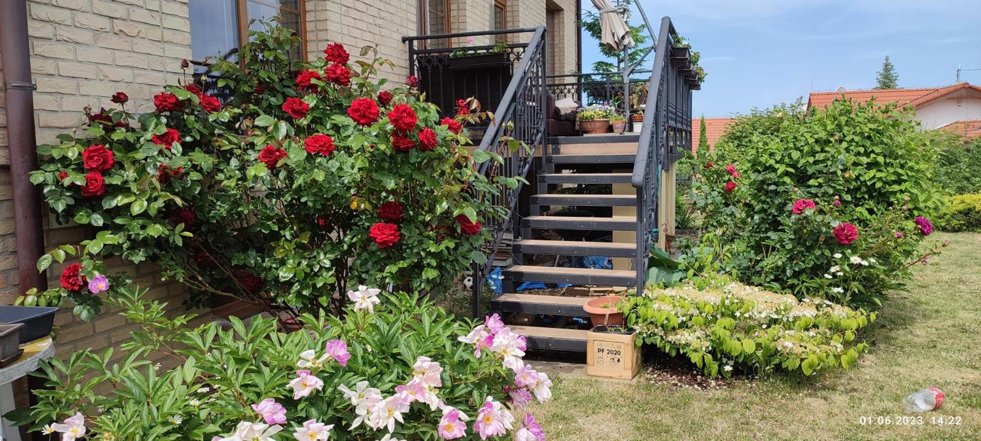 פראג Villa Homestay Nad Helmrovkou מראה חיצוני תמונה